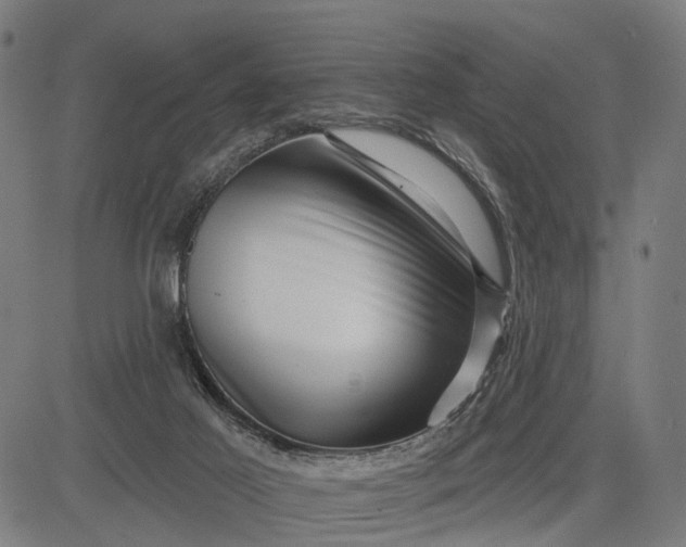 X0000082710021200702091759