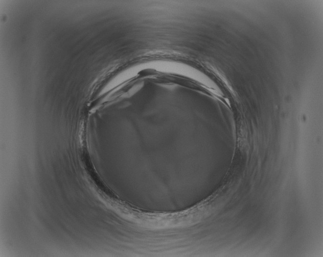 X0000082710023200702091759