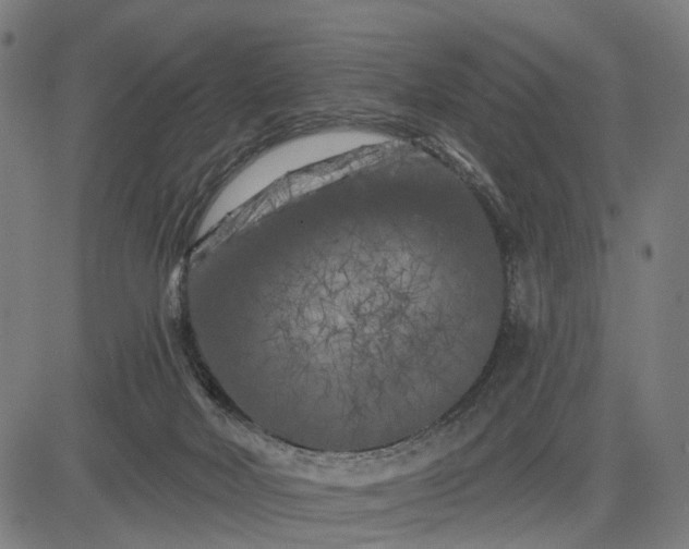 X0000082710026200702091759