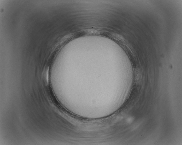 X0000082710028200702091759