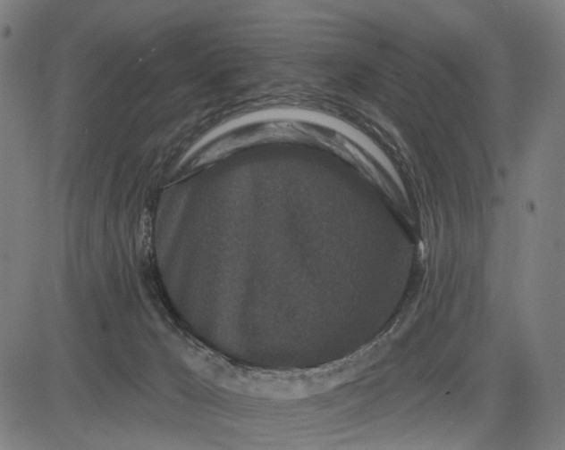 X0000082710029200702091759