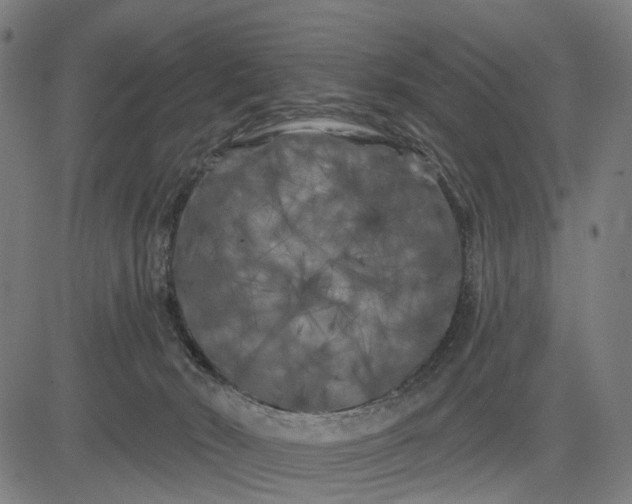 X0000082710030200702091759