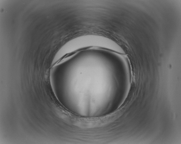 X0000082710033200702091758