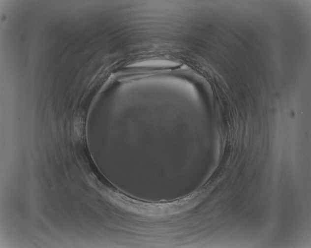 X0000082710035200702091758