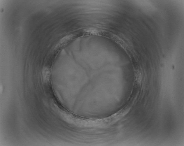 X0000082710036200702091758