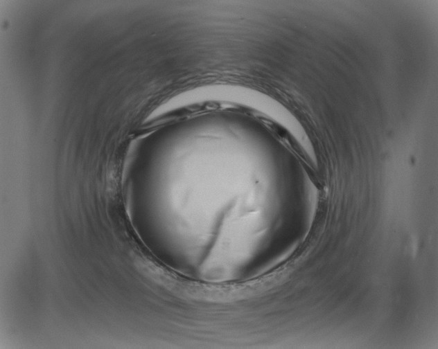 X0000082710037200702091758