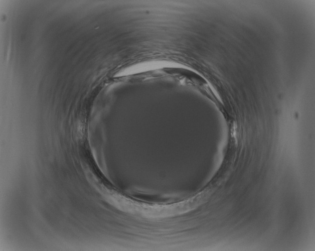 X0000082710039200702091758