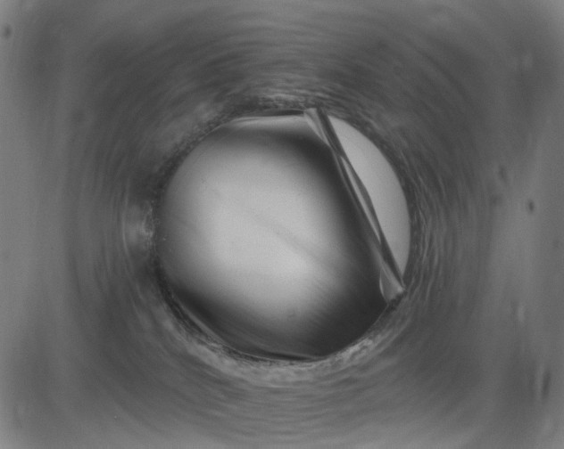 X0000082710040200702091758