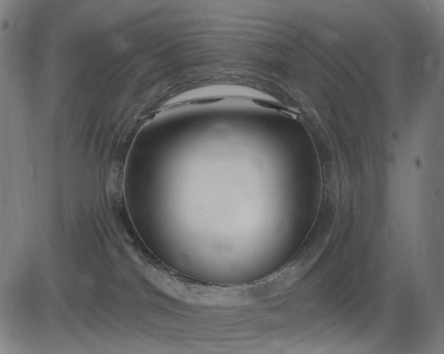 X0000082710044200702091758