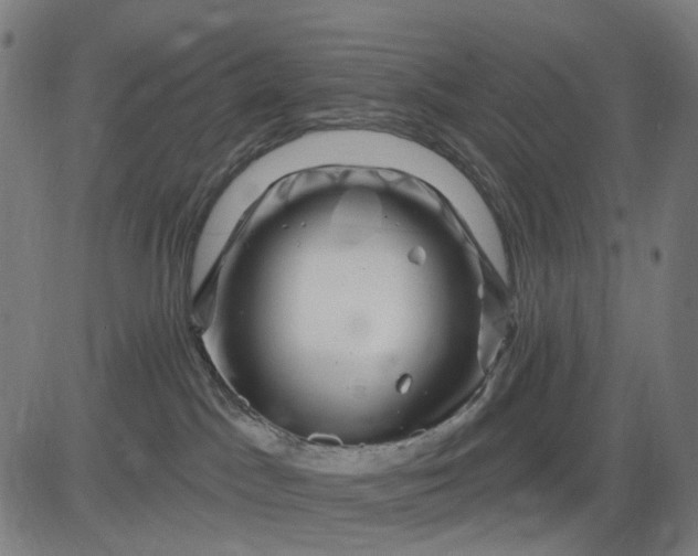 X0000082710045200702091758