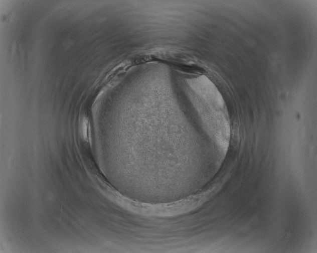 X0000082710046200702091758