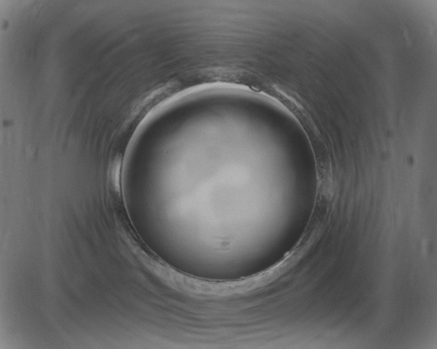 X0000082710047200702091758