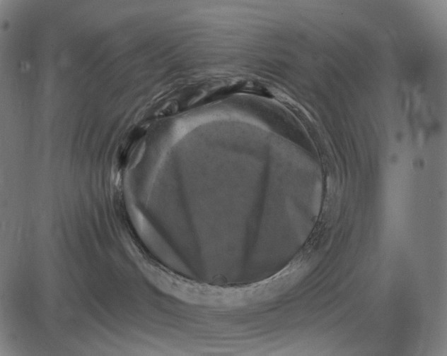 X0000082710048200702091758