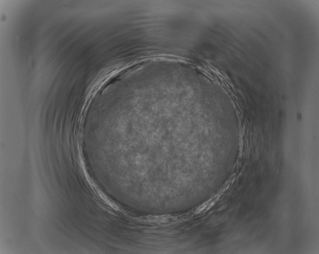 X0000082710049200702091757