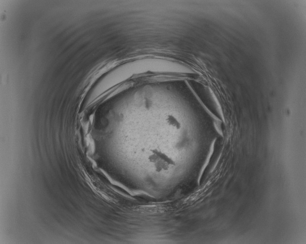 X0000082710050200702091757