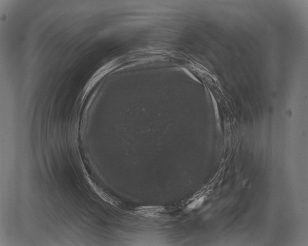 X0000082710051200702091757