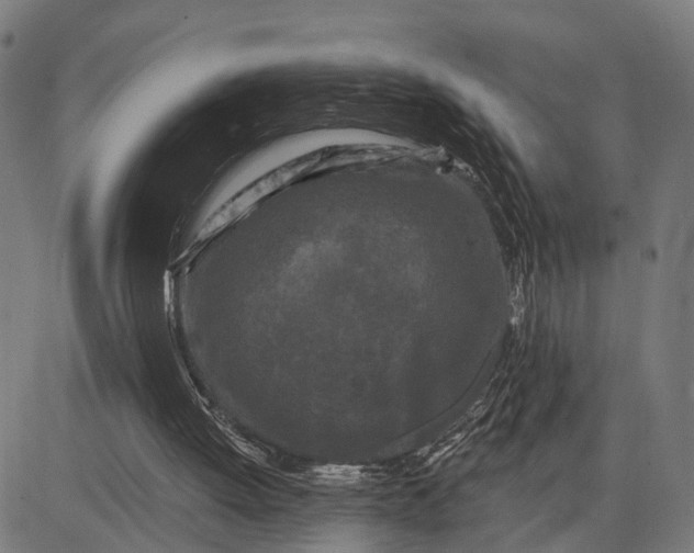 X0000082710052200702091758