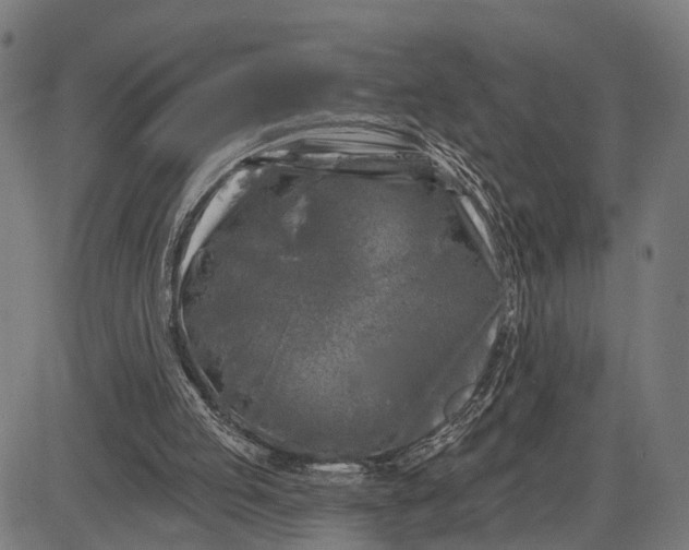 X0000082710053200702091758