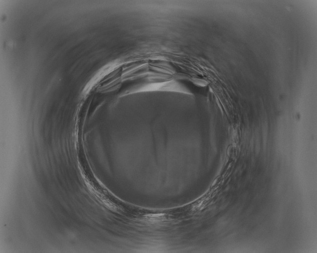 X0000082710054200702091758