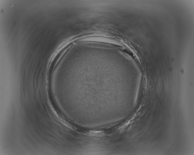 X0000082710055200702091758