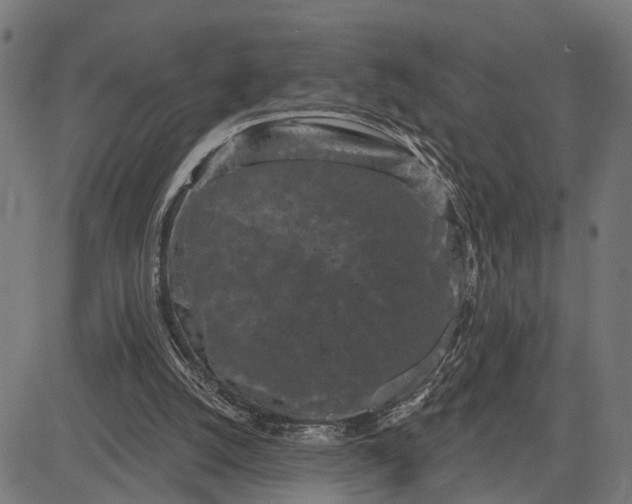 X0000082710056200702091758