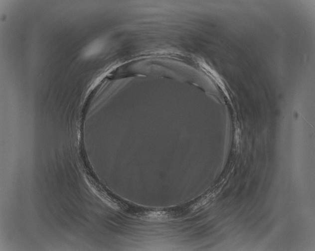 X0000082710059200702091758