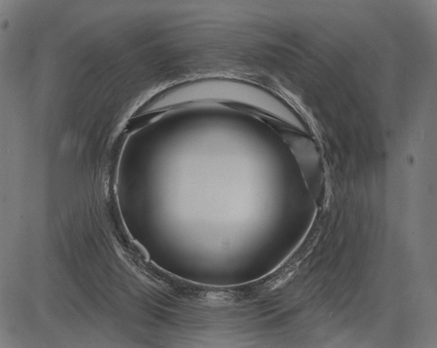 X0000082710060200702091758