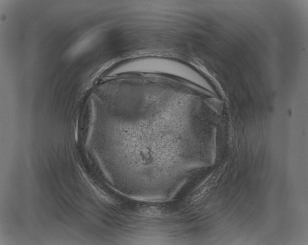 X0000082710062200702091758