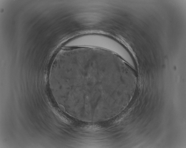 X0000082710063200702091758