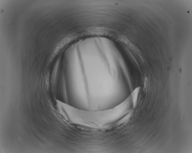 X0000082710064200702091758