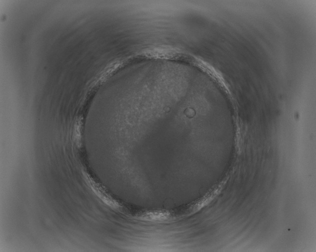 X0000082710065200702091758