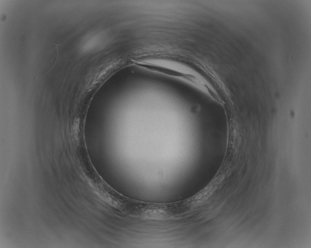 X0000082710066200702091758