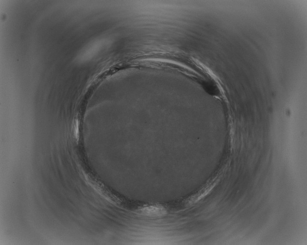 X0000082710067200702091758