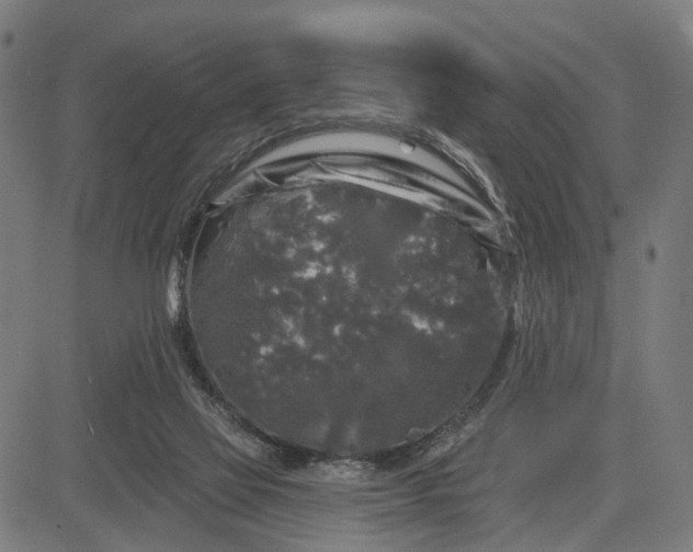 X0000082710069200702091758