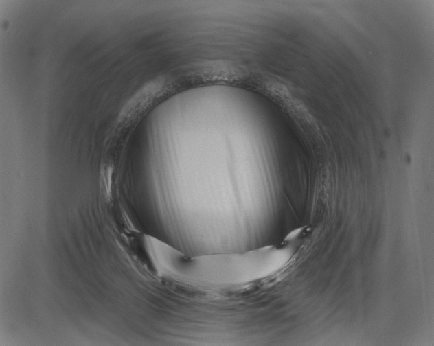 X0000082710070200702091758