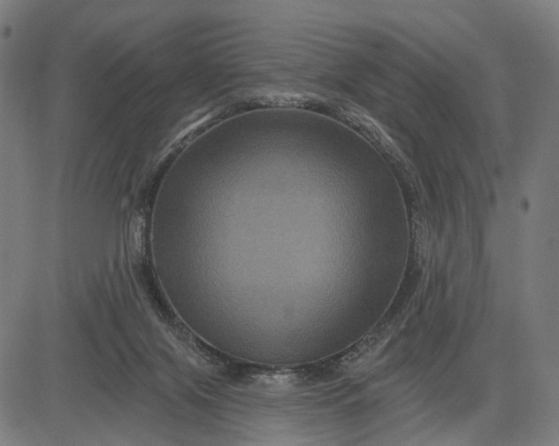 X0000082710071200702091758