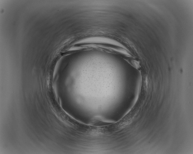 X0000082710072200702091758