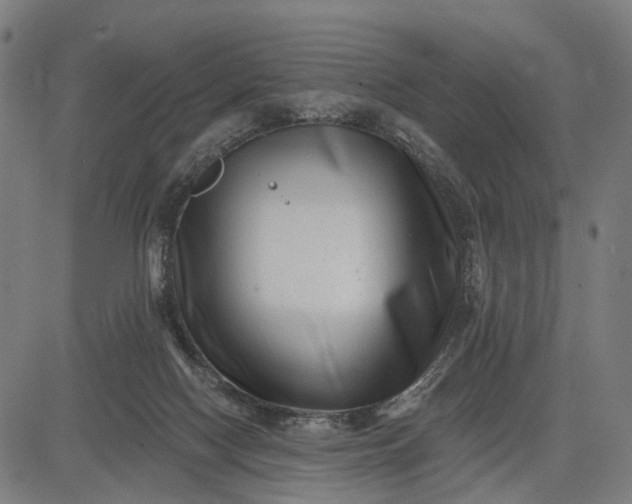 X0000082710074200702091758