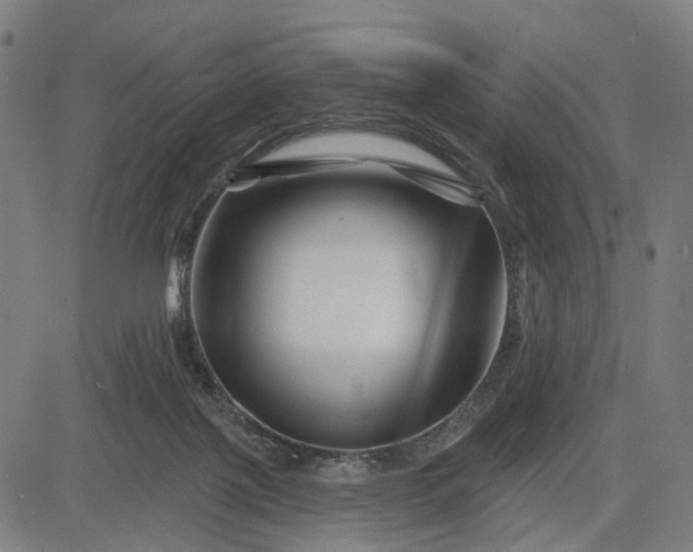 X0000082710075200702091758