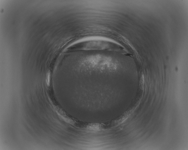 X0000082710076200702091758