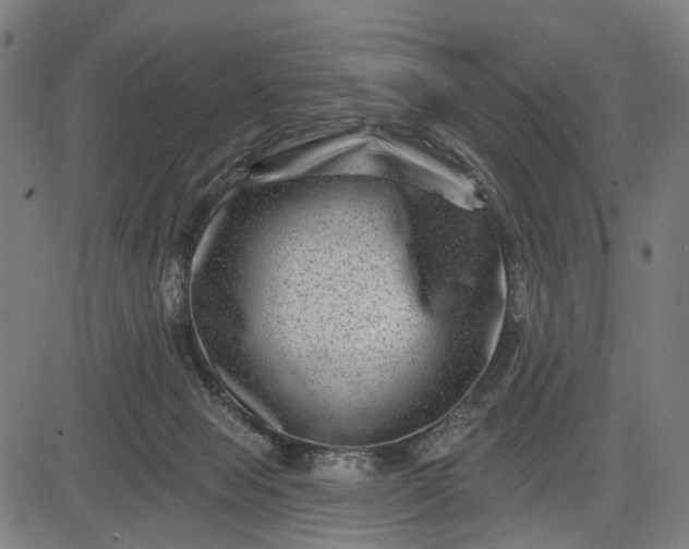 X0000082710077200702091758