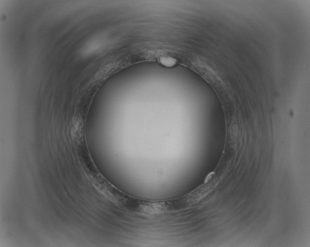 X0000082710079200702091758