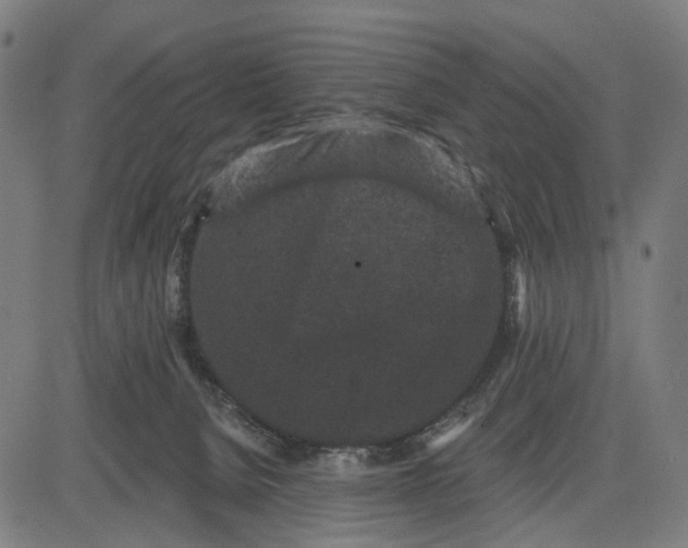 X0000082710080200702091758