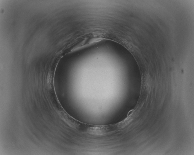 X0000082710082200702091758