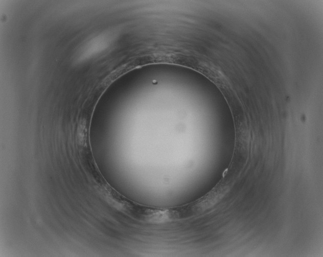 X0000082710083200702091758