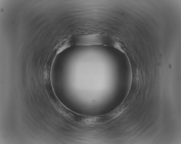 X0000082710084200702091758