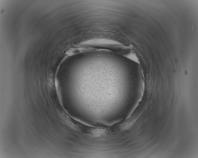 X0000082710085200702091758