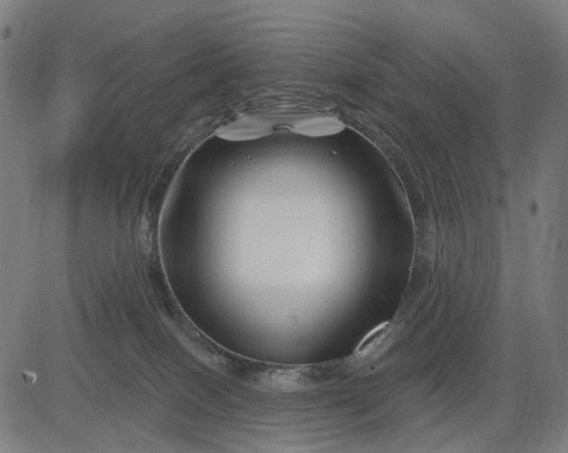 X0000082710086200702091758