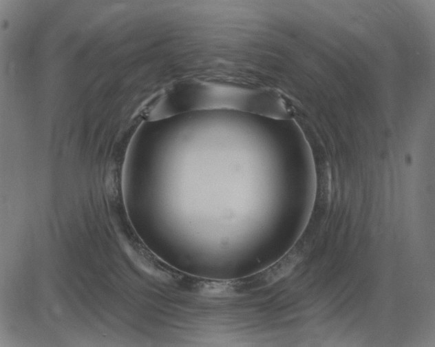 X0000082710088200702091758