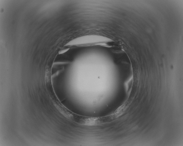 X0000082710090200702091758